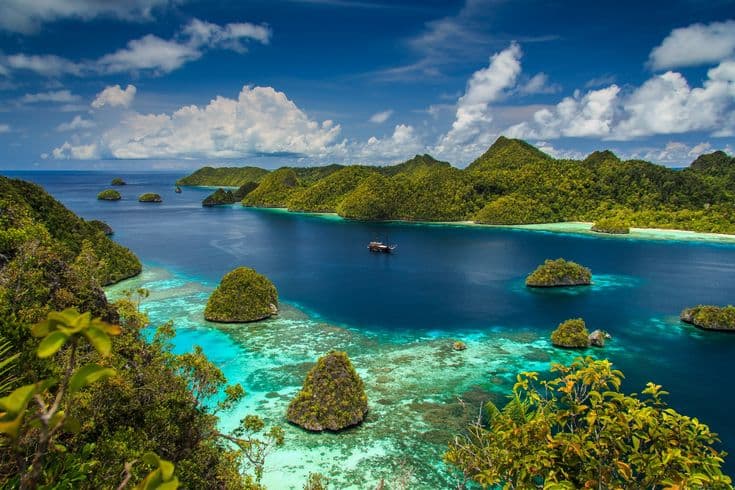 Jasa Pembuatan CV di Papua